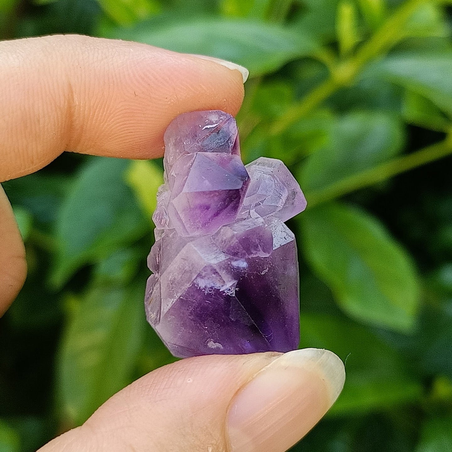 Natural Amethyst Crystal Cluster